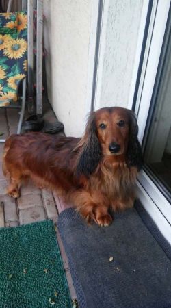 Przystojny jak zwykle